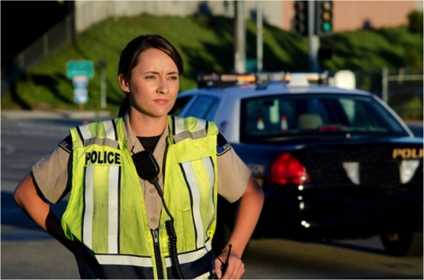 The Role of a Law Enforcement Expert Witness