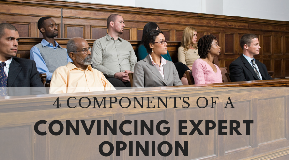 Components of a convincing expert opinion