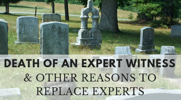 What to do with the death of an expert witness